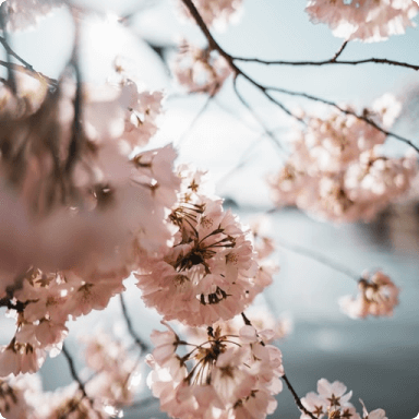 blog-hero